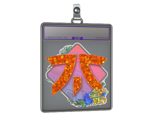 Item Sticker Slab | Fnatic (Glitter) | Rio 2022