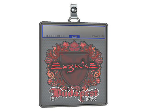 Item Sticker Slab | Ex3rcice | Budapest 2025