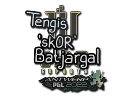 Item Sticker | sk0R | Antwerp 2022