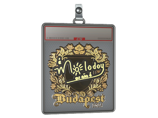 Item Sticker Slab | molodoy (Gold) | Budapest 2025