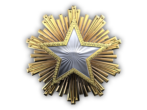 Item 2016 Service Medal