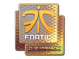 Item Sticker | Fnatic (Holo) | DreamHack 2014