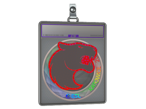 Item Sticker Slab | FURIA (Holo) | Katowice 2019