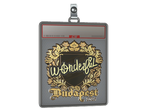Item Sticker Slab | w0nderful (Gold) | Budapest 2025