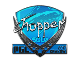 Item Sticker | chopper | Krakow 2017