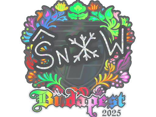 Item Sticker | snow (Holo) | Budapest 2025