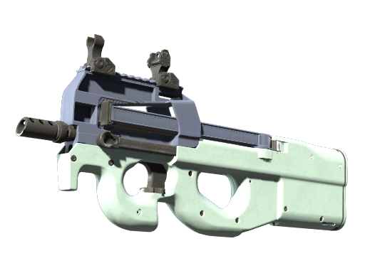 Item P90 | Storm