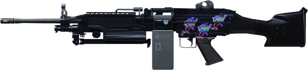 Item M249 | O.S.I.P.R.