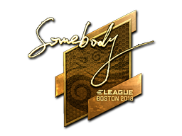 Item Sticker | somebody (Gold) | Boston 2018