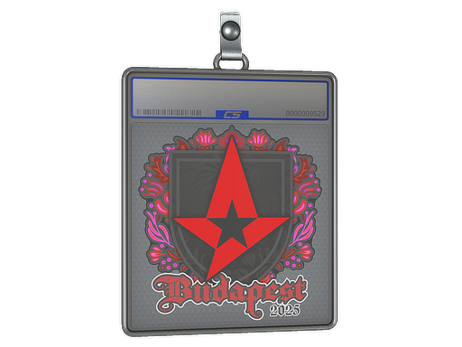 Item Sticker Slab | Astralis | Budapest 2025