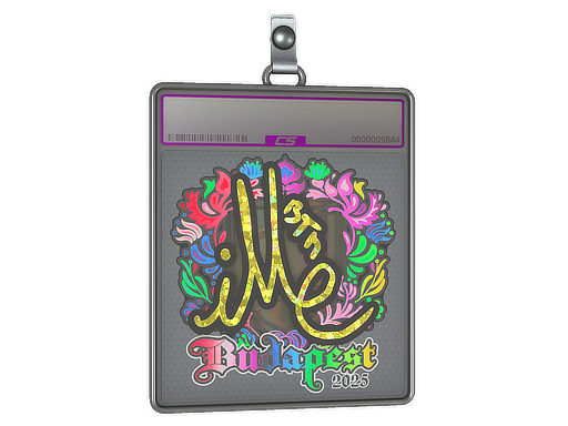 Item Sticker Slab | iM (Holo) | Budapest 2025