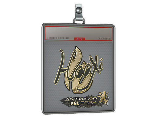 Item Sticker Slab | HooXi (Gold) | Antwerp 2022