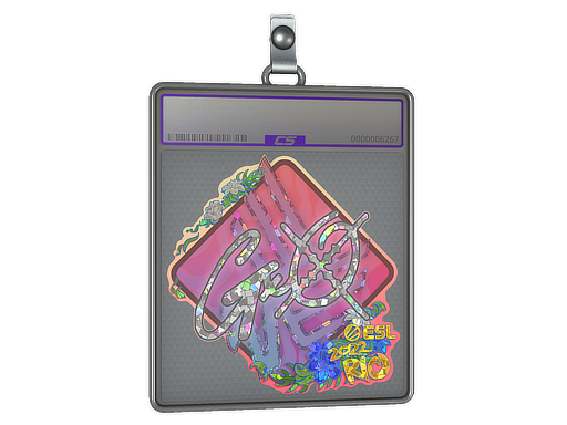 Item Sticker Slab | gxx- (Glitter) | Rio 2022