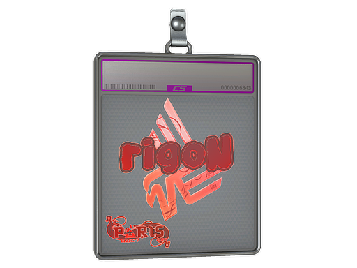 Item Sticker Slab | rigoN (Holo) | Paris 2023
