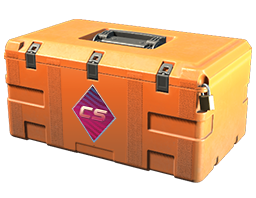 Item Fever Case