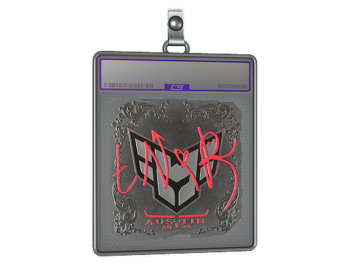 Item Sticker Slab | tN1R (Foil) | Austin 2025