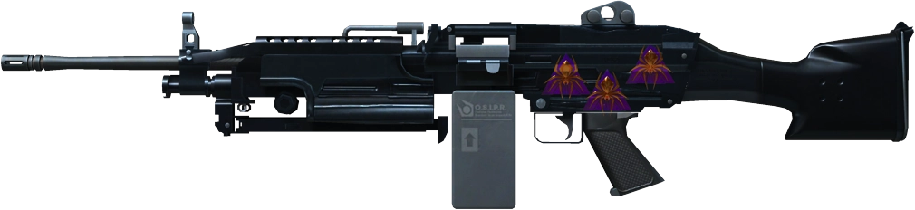 Item M249 | O.S.I.P.R.