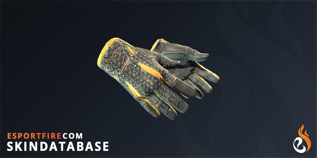 Sport Gloves | Omega (Field-Tested) - EsportFire.com