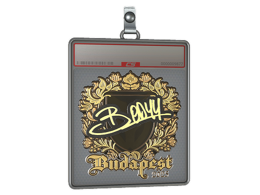 Item Sticker Slab | bodyy (Gold) | Budapest 2025