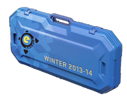 Item eSports 2013 Winter Case