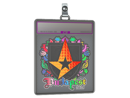 Item Sticker Slab | Astralis (Holo) | Budapest 2025
