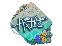 Item Sticker | Ax1Le | Rio 2022