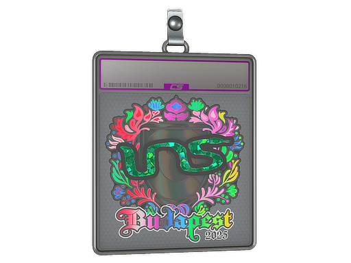 Item Sticker Slab | INS (Holo) | Budapest 2025