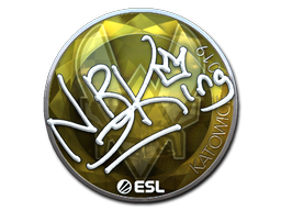 Item Sticker | NBK- (Foil) | Katowice 2019