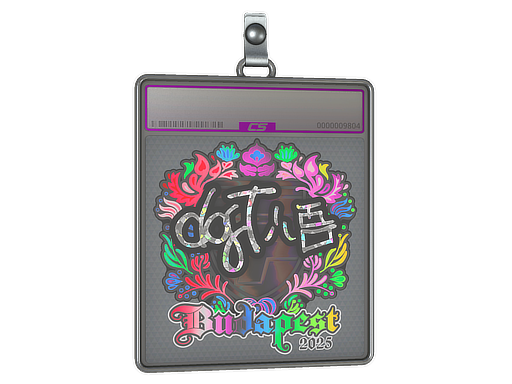 Item Sticker Slab | dgt (Holo) | Budapest 2025