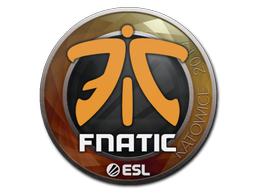 Item Sticker | Fnatic | Katowice 2019