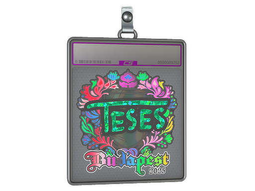 Item Sticker Slab | TeSeS (Holo) | Budapest 2025