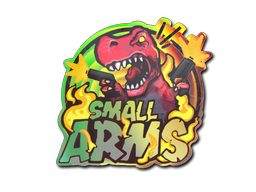 Item Sticker | Small Arms (Holo)