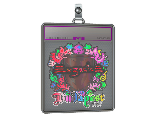 Item Sticker Slab | Ex3rcice (Holo) | Budapest 2025