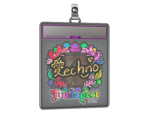 Item Sticker Slab | Techno4K (Holo) | Budapest 2025