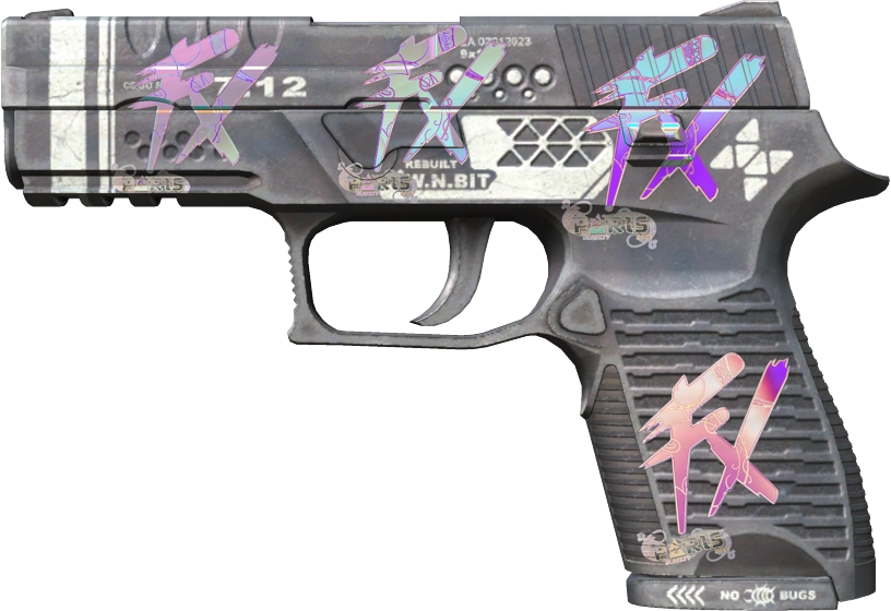 Item P250 | Re.built
