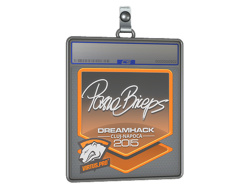 Item Sticker Slab | pashaBiceps | Cluj-Napoca 2015