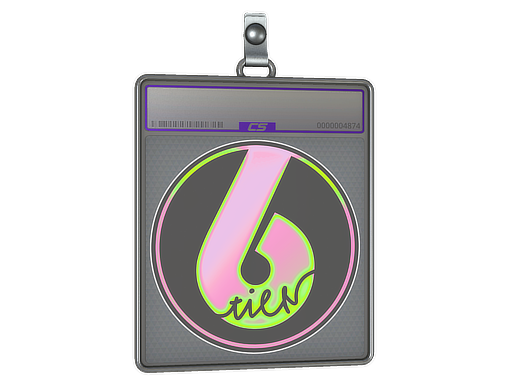 Item Sticker Slab | Watermelon Tier6 (Holo)