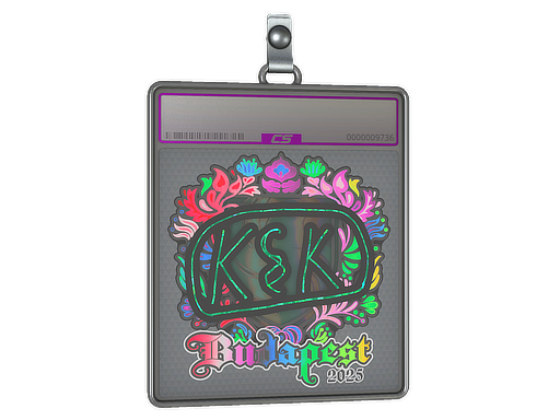 Item Sticker Slab | kyousuke (Holo) | Budapest 2025