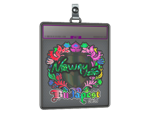 Item Sticker Slab | noway (Holo) | Budapest 2025