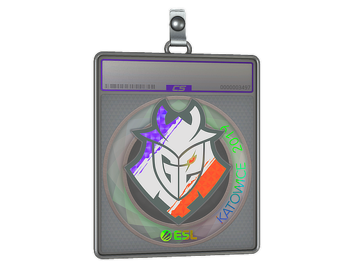 Item Sticker Slab | G2 Esports (Holo) | Katowice 2019