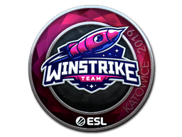 Item Sticker | Winstrike Team (Foil) | Katowice 2019