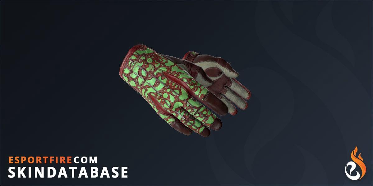 Sport Gloves Bronze Morph