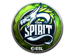 Item Sticker | Team Spirit (Foil) | Katowice 2019