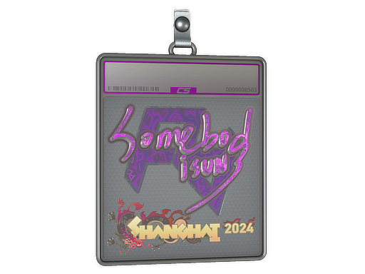 Item Sticker Slab | somebody (Holo) | Shanghai 2024