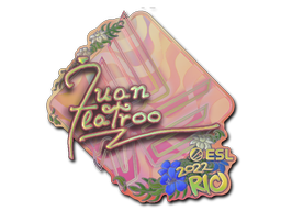 Item Sticker | juanflatroo (Holo) | Rio 2022