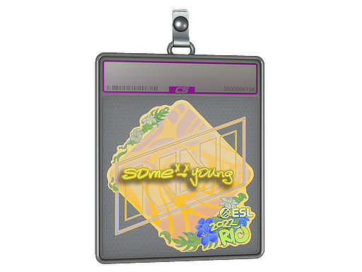 Item Sticker Slab | sdy (Holo) | Rio 2022