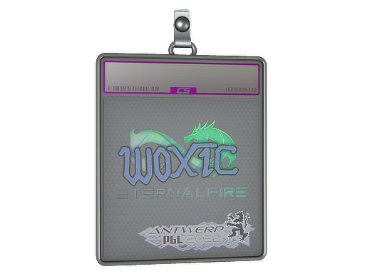 Item Sticker Slab | woxic (Holo) | Antwerp 2022