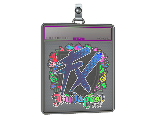 Item Sticker Slab | Fluxo (Holo) | Budapest 2025
