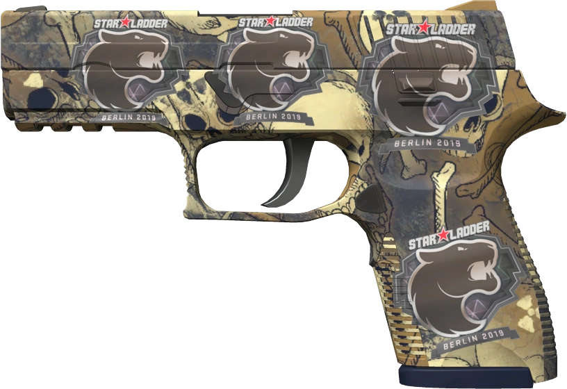 Item P250 | Contamination