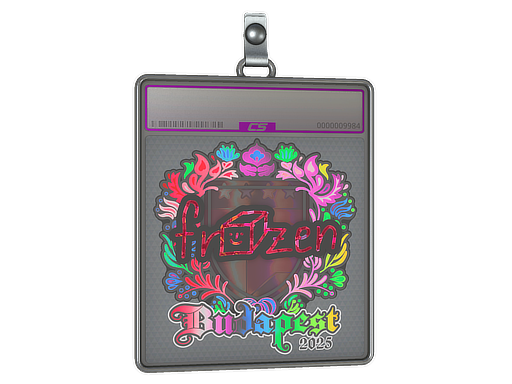Item Sticker Slab | frozen (Holo) | Budapest 2025